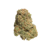 Black Roses 7g