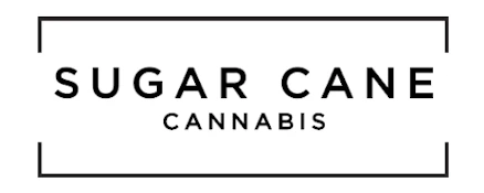 SCC Shirt Light Grey Medium