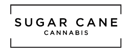 SCC Shirt Beige Small