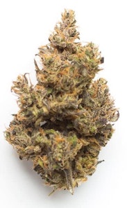 Bud Boys - Bud Boys | Blueberry Pancakes | Hybrid 14g Flower