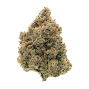 Bud Boys | Road Dawg 12 | 14g Flower