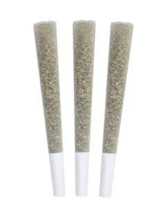 JBuds Craft Cannabis - Gastro Pop - 0.5g x 3