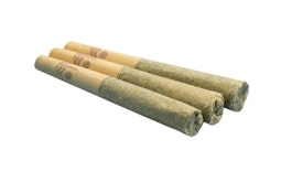 Glitter Bomb - 0.5g x 3