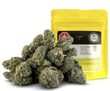 BC 1/2 OZ - Old Money - 14g