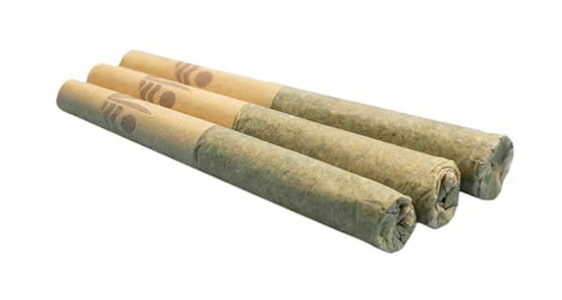 All Nations - Glitter Bomb - 0.5g x 3