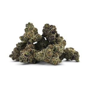 DEALR - PERMANENT-LEE HI 7G