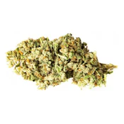 GHOST TRAIN HAZE 7G