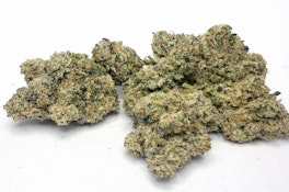 Magi Bubble Gum Kush Mints 3.5g