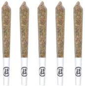 Comatose Pre-Rolls | 5x0.5g