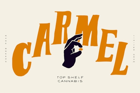 CARMEL - ANIMAL FACE | 12 x 0.5g