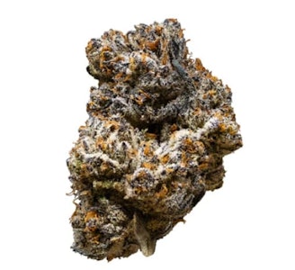 3rd Coast Genetics - 3rd Coast Genetics - Jack Truffle (14g)