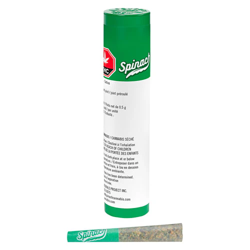 Spinach - BLUE THAI #2 PRE-ROLL - 1X0.5 Main Image