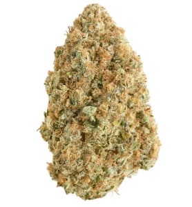 Broken Coast - BLUE DREAM 7G BY BROKEN COAST