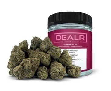 DEALR - Raspberry Ice LTO - 28g