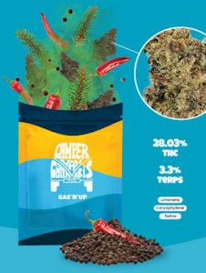 Lynx Distribution - 28g GAS'N'UP Venom OG x Humboldt OG - Indica 28g