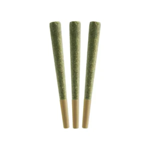 All Nations - Glitter Bomb 3pk JOINTS .5g