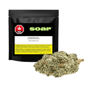 Soar - Pineapple God