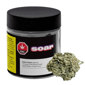 Soar - Death Punch
