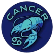 8" - Silicone Dab Cancer