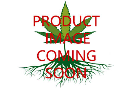 Northern Sunrise Farms - Cakes & Cream 1 x 1g Pre-Roll