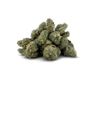 OLD MONEY - 14 GRAMS