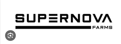 Road Rage OG 1 x 0.5g Pre-Roll Supernova Farms