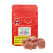 Wyld Real Fruit Strawberry CBD Gummies - 10 X 1mg