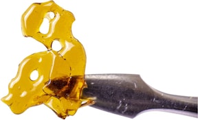 Shatter - Dab Bods Blueberry Hybrid