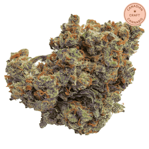 Qwest - Lazer Jet 7g