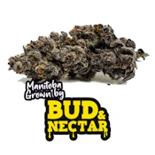 LUSTY LADY 3.5G
