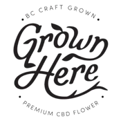 Day Dreamin' CBD Pre-Rolls 1x0.5g