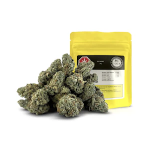 BC 1/2 OZ - BC 1/2 OZ - OLD MONEY - 14 GRAM