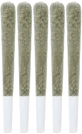 Irie Craft Cannabis - Dante's Inferno Pre-Rolls 5x0.5g | 2.5g