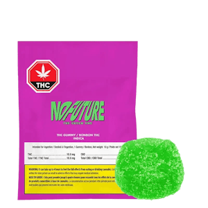 Indiva INC - No Future The Green One Gummy 10mg