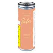 Solei Mango Passionfruit 355mL