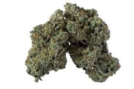 Island Genetics - 14g Lime Heads (smalls)