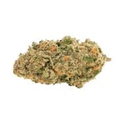 Trail No.13(White Widow x Gastro Pop) - 14g