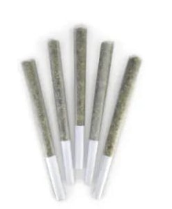 DEALR - Breakfast of Champions - 0.5g x 5