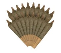 AM/PM Variety Pack - 0.4g x 20