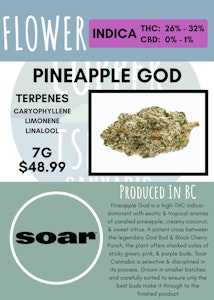 Soar - 7G - SOAR - PINEAPPLE GOD