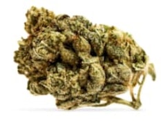 Potluck Banana Cream 7G