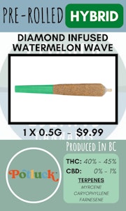Potluck - POTLUCK - 1PK WATERMELON WAVE INFUSED PR