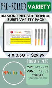 Potluck - POTLUCK - 4PK TROPICAL BURST DIAMOND INFUSED VARIETY PACK PRS