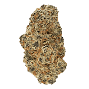 Dante's Inferno #8 7g