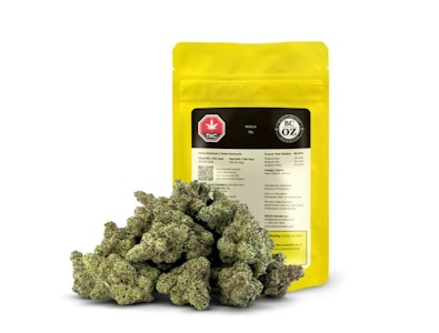 BC OZ - NEBULA - 28G