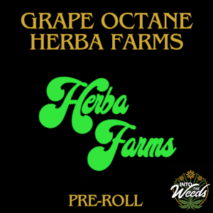 Herba Farms - Grape Octane - 3 x 0.5g