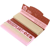 Houseplant Brown Rice - 1 1/4 + Tips