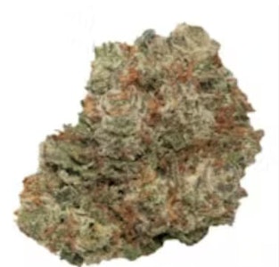 Qwest - Lazer Jet Craft 7g Dried Flower - Qwest