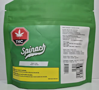 Peace Naturals Project Inc. - Spinach Space Cake 14g Hybrid Flower