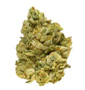 Broken Coast - EmergenZ  - 28g